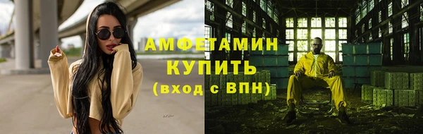 сатива Алзамай