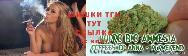 сатива Алзамай