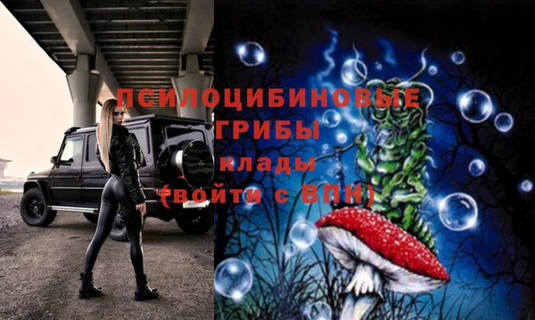 сатива Алзамай