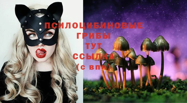 мефедрон Алексеевка