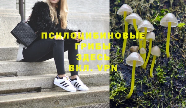 сатива Алзамай