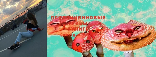эйфоретик Алексин
