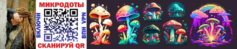 Галлюциногенные грибы Cubensis  Лахденпохья 